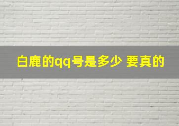 白鹿的qq号是多少 要真的